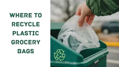 where to recycle plastic grocery bags